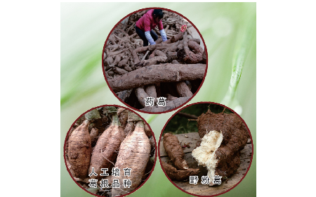 買葛粉是買野生的好？還是野生有機(jī)的好？