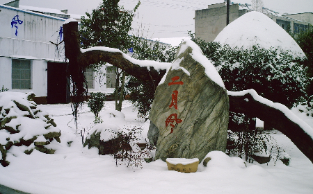 二月風(fēng)致老友：一碗葛根粉的牽掛，農(nóng)博會(huì)上的重逢之約二月風(fēng)盼老友：農(nóng)博會(huì)上，再續(xù)葛粉情緣